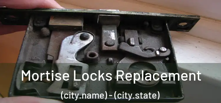 Mortise Locks Replacement (city.name) - (city.state)