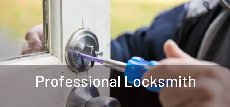  Professional Locksmith 